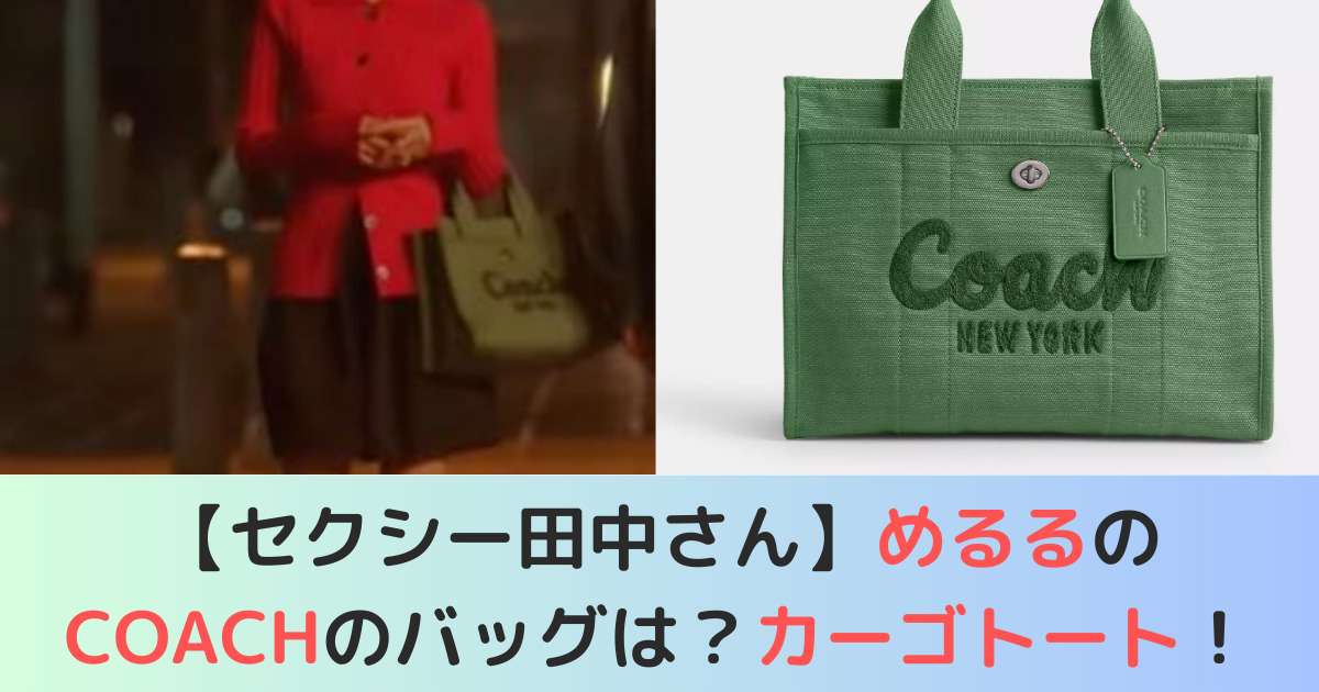 めるるのCOACHのバッグはカーゴトート!日本未発売だが値段は？ | M.M.PRESS